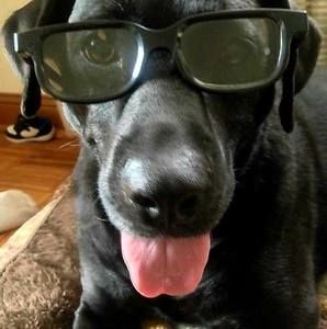 Meet your Posher, Brett